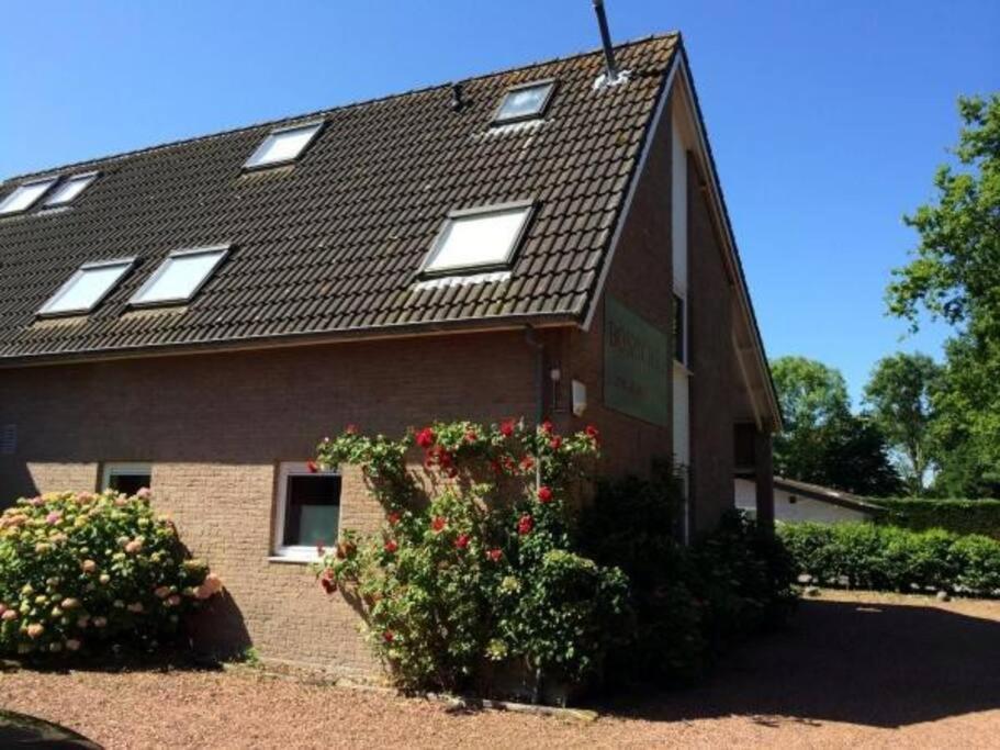 Boszicht 5 Appartement In Oostkapelle Bagian luar foto